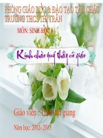 bai 53 hoat đong than kinh cap cao