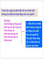 Bài 54 ô nhiễm môi trường