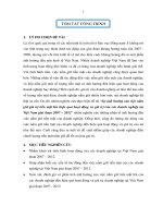 ĐỀ TÀI: Sự ảnh hưởng của việc nắm giữ tiền mặt đến hiệu quả hoạt động và giá trị của doanh nghiệp tại Việt Nam