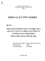 một số giải pháp nhằm nâng cao hiệu quả quản lý vốn lưu động tại công ty cổ phần xuất nhập khẩu hàng tiêu dùng thế hệ mới