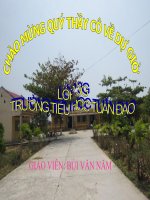 Tiết 141: Diện tích hình chứ nhật