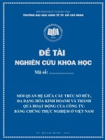 ĐỀ TÀI: MQH giữa cấu trúc sở hữu, đa dạng hóa kinh doanh và thành quả hoạt động của công ty