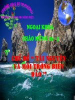 ngoại khóa về biển đảo