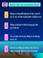 Bai giang SS hữu tính ở thực vật hay