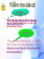 màu sắc của các vật dưới ánh sáng trắng - màu