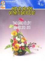 Ôn tập chương III-Hình học 7