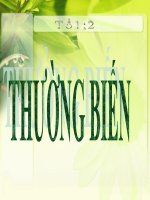 Bài 27: Thực hành Quan sát thường biến