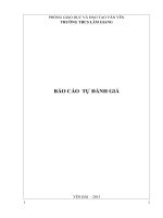 Báo cáo tự kiểm định chất lượng 2013