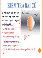 tiet 56 mat can, mat lao