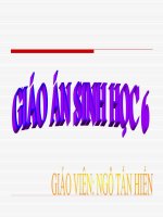 ĐA DẠNG VÀ ĐẶC ĐIỂM CHUNG CỦA LỚP CÁ