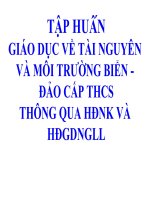 tap huan bien dao 2012