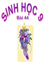 bai 44 anh huong lan nhau giua cac sinh vat
