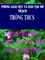 tiet 28 lap dat day dan mang dien trong nha