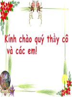 bài 11 tiết 3