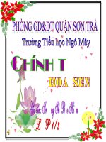 chinh ta hoa sen