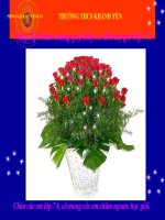 Bài giảng sinh hoạt CMM