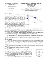 Đề và Đáp án thi HSG Vật lý tỉnh Thanh Hóa năm 2013