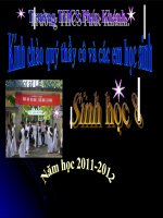 Tiết 64: Cơ quan sinh dục nữ