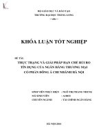thực trạng và giải pháp hạn chế rủi ro tín dụng của ngân hàng thương mại cổ phần đông á - chi nhánh hà nội