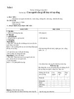 giáo án khoa học lớp 4