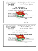 MAU GIAY TRUONG THANH DOAN