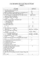 Câu hỏi Bông Sen Vàng