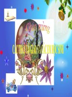 Bài 5. Quyền bình đẳng giữa các dân tộc tôn giáo