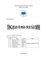 tiểu luận môn phân tích tài chính tổng quan phân tích tài chính
