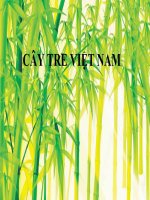 cây tre việt Nam