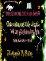 Luyện từ và câu lớp 4 tuần 7