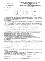 Đề thi HSG tỉnh môn Hóa năm 12-13