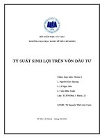 tiểu luận môn phân tích tài chính tỷ suất sinh lợi trên vốn đầu tư