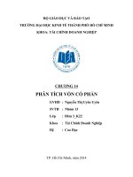 tiểu luận môn phân tích tài chính phân tích vốn cổ phần