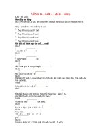 Violympic V16-L4 NH 2012-2013