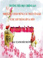 Bài Vệ sinh môi trường