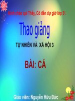 TU-NHIEN-XA-HOI-3_BAI:CÁ
