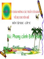TD Phong canh Den Hung