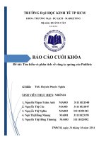 đề tài tìm hiểu và phân tích công ty quảng cáo publiccis