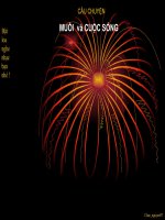 câu chuyện MUỐI và CUỘC SỐNG