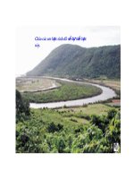 Bài 8- Ngữ văn 7