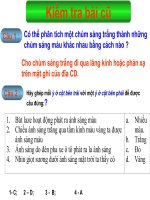 tiet 60 Mau sac các vật dưới Á Trắng Á