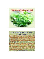 CÔNG NGHỆ SẢN XUẤT TRÀ