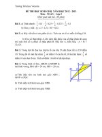 Đề thi Học sinh Giỏi lớp 5 - Vitor Hà Nội