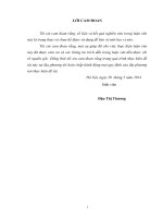 “ Nghiên cứu phát triển du lịch biển Thiên Cầm Huyện Cẩm Xuyên, Tỉnh Hà Tĩnh”