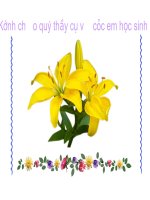 tìm hiểu chung về văn bản hành chính