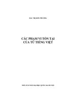 các phạm vi tồn tại của từ tiếng việt
