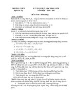 Đề thi hsg lớp 10 trường NGT