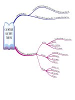 Bài 22. các đời khí hậu trên Trái Đất