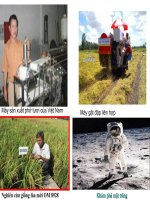 bai 13 chinh sach giao duc va dao tao