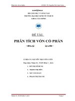 tiểu luận phân tích vốn cổ phần